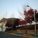 완주군 공설운동장 이미지