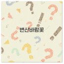 바람꽃공원 | 변산바람꽃 군락지와 스테이 펜션 개화시기 꽃말까지 깔끔 정리