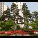 황새말 이미지