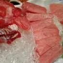 수성참치 이미지