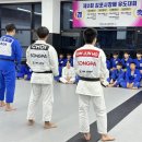 한양대 유도 이미지