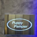 퍼피팸퍼 이미지