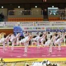 한국태권도체육관 이미지