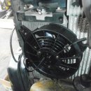 대한부란자 이미지