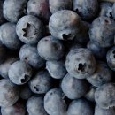 동양건강원 이미지