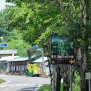 함안 대송리 늪지식물 이미지