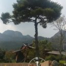 월출산바우펜션 이미지