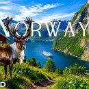 Norway’s Untamed Beauty 4K: Untouched Wilderness &amp; Incredible Wildlife 이미지