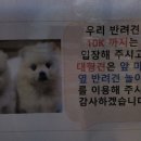 르볼 이미지