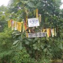 수양산 펜션 이미지