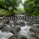 강원도산림개발연구원 집다리골자연휴양림 | 집다리골휴양림 계곡 따라 걷기 좋은 춘천 숲속 여행