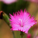 인천환경공단 청라사업소 이미지