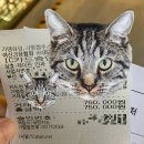 제이린안과의원 | *내돈내산, 솔직후기* 다 늙어서 하게 된 성인 드림렌즈 - 검사, 테스트시착, 비용