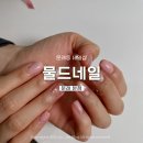 물드네일