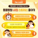 메타 동물의료센터 이미지