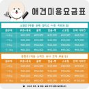 킹스유치원 이미지