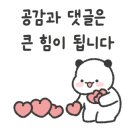 바다를 품은 보성회센타 이미지