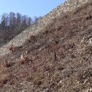 춘천휴게소(중앙고속도로) 이미지