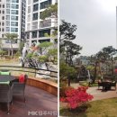 단지내양지공인중개사사무소 이미지