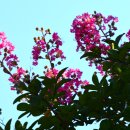 고려동유적지 이미지