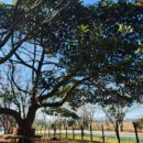 나불도 승마랜드 이미지