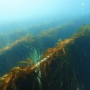 장호2리 이미지