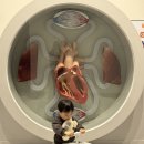 쌍동초등학교 | [아기랑 가기 좋은 곳/원주] 국립강원전문과학관 (운영시간, 주차, 수유실 등)