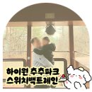 심포리 | 삼척 하이원 추추파크 스위치 백트레인 꿀팁 | 이용시간 소요시간 할인예약 방법