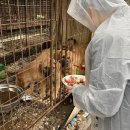 이현우농장 이미지