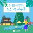 국립정동극장 창작극 궁 장녹수전 | 무더위 식혀주는 도심 속 분수들(feat.광화문)