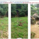 홍촌마애승상 이미지