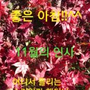 송은 이미지