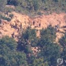 '北지뢰 대응' NSC서 격론…독자제재·軍첨단전력 시연 논의 이미지