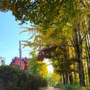 초록산산림욕장 이미지