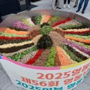 2025영동세계국악엑스포 및 제56회 영동난계국악축제 기념 2025인분 영동호두비빔밥 나눔의 광장 이미지