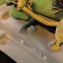 재키애견 이미지