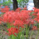 중리공원 이미지