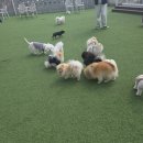 아로하스토리 이미지