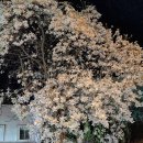 덕천치안센터 이미지