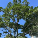 소길스테이 민박 이미지