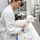 천동물병원 이미지