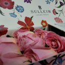 설레임(Sulleim) 이미지