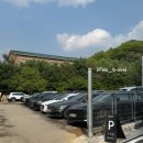 이상한 식물나라 | [과천 카페] 식물로 가득한 정원과 온실에서 즐기는 카페 &#34;마이 알레&#34; 후기 &amp; 주차 정보