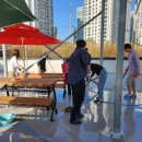 무지개 동산 이미지