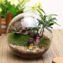 미니정원(테라리움) 이미지