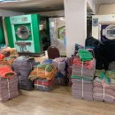 모닝크린 이미지