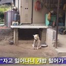 ★ V I P 서경방 2 월 27 일 (토) 족구 & 저녁식사 번개요 ~~★ 이미지