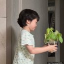 삐애로미용실 | 재재남매의 월간 육아일기) 날씨 좋은 5월, 마음도 풍요로웠던 한 달