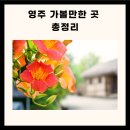 영주 가볼만한곳 경북 영주 가볼만한곳 영주 가볼만한곳 베스트10 이미지