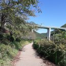 좌광천 산책로2 이미지